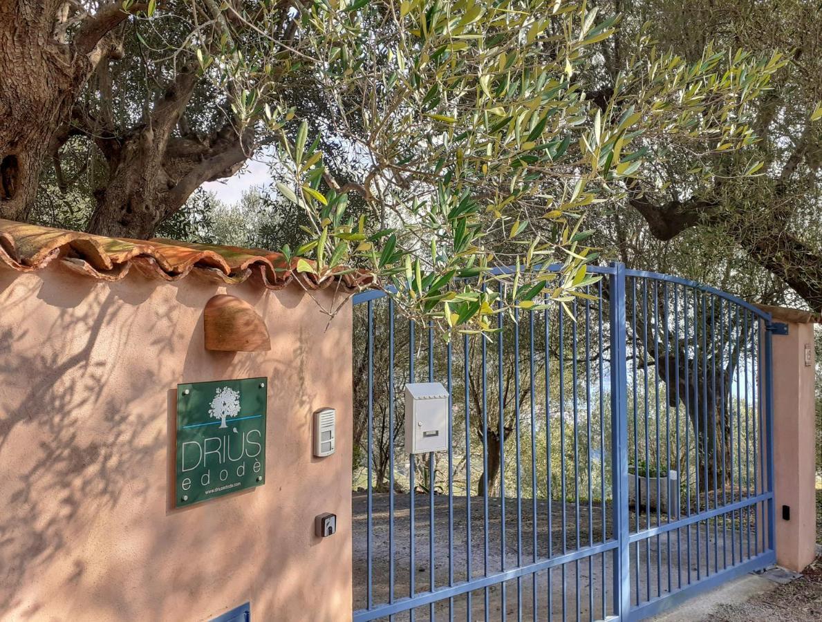 Drius Edode - B&B Affittacamere Torraca エクステリア 写真