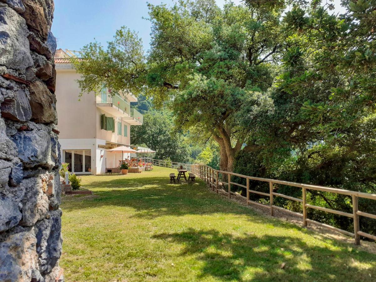 Drius Edode - B&B Affittacamere Torraca エクステリア 写真