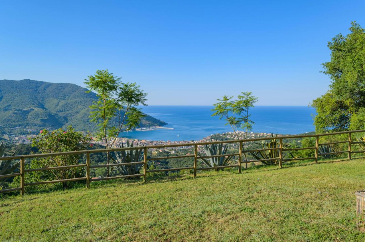 Drius Edode - B&B Affittacamere Torraca エクステリア 写真