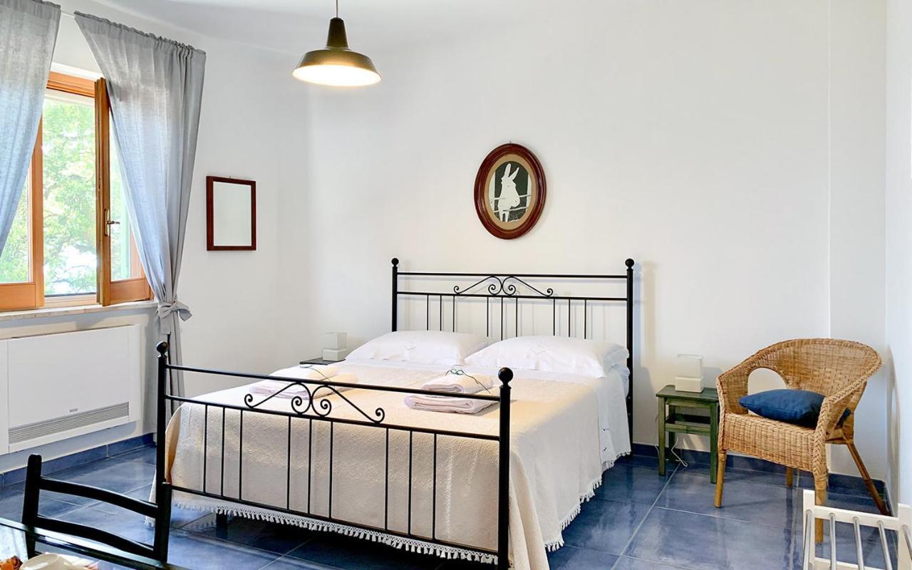 Drius Edode - B&B Affittacamere Torraca エクステリア 写真